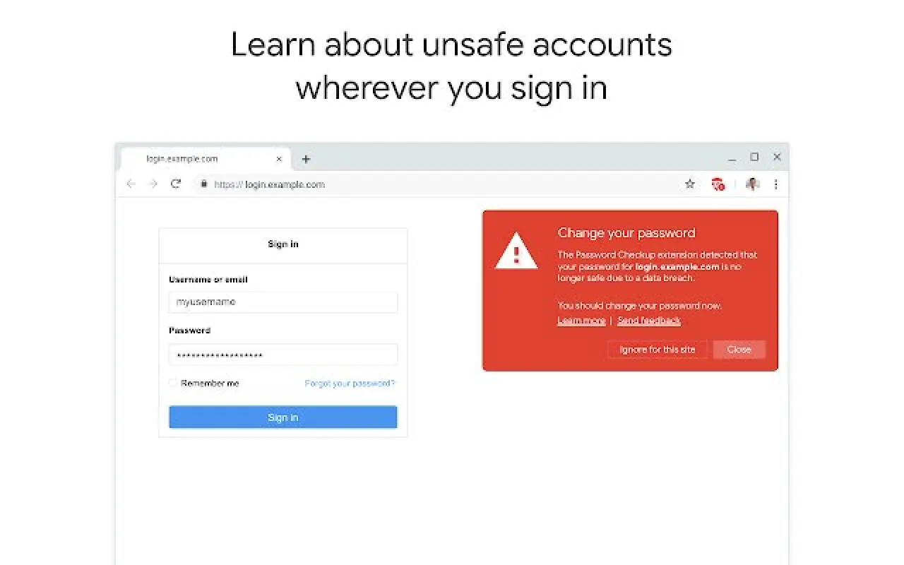 密码安全检查扩展程序_1.14