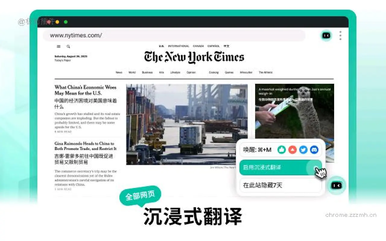 ZipZap.AI 沉浸式全能翻译&AI助理_2.0.8_image_1