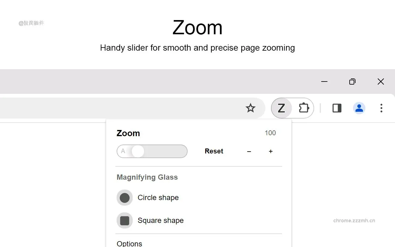 缩放 for Google Chrome