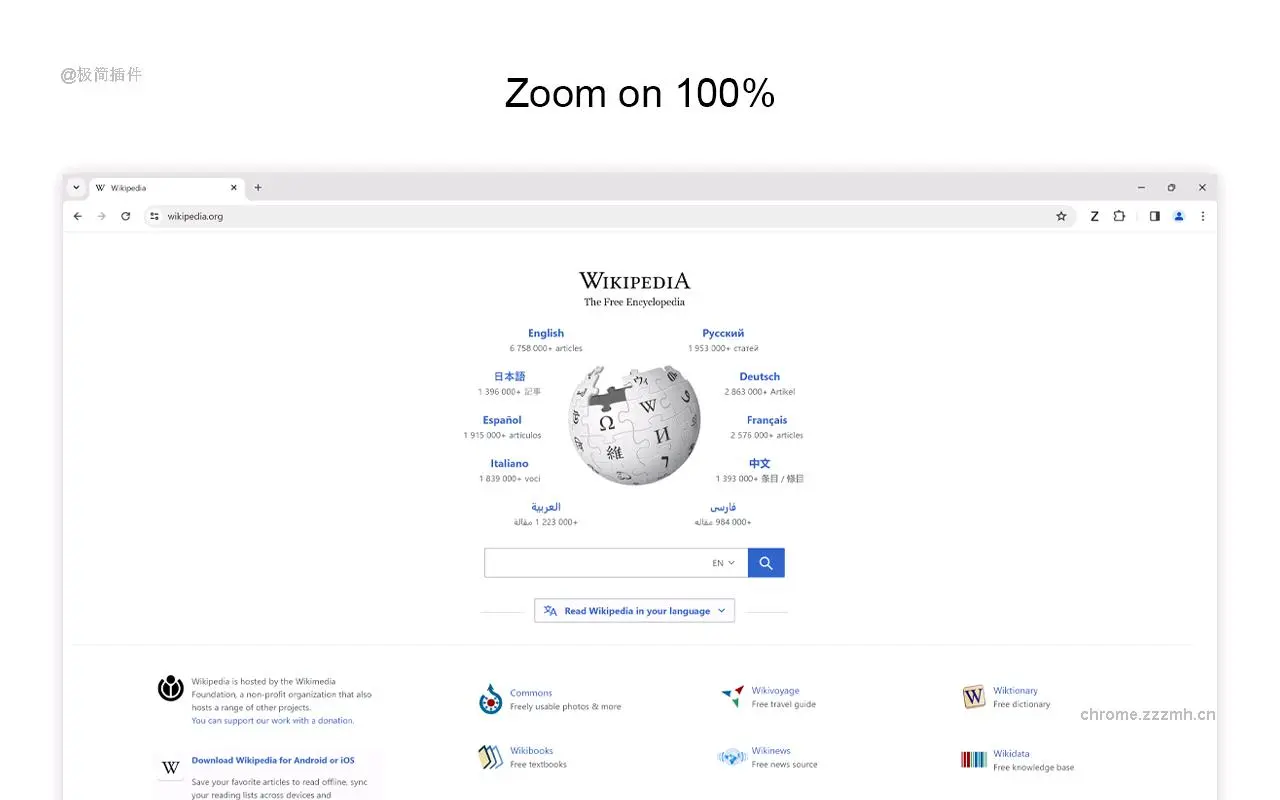 缩放 for Google Chrome_2.8.16.0_image_1