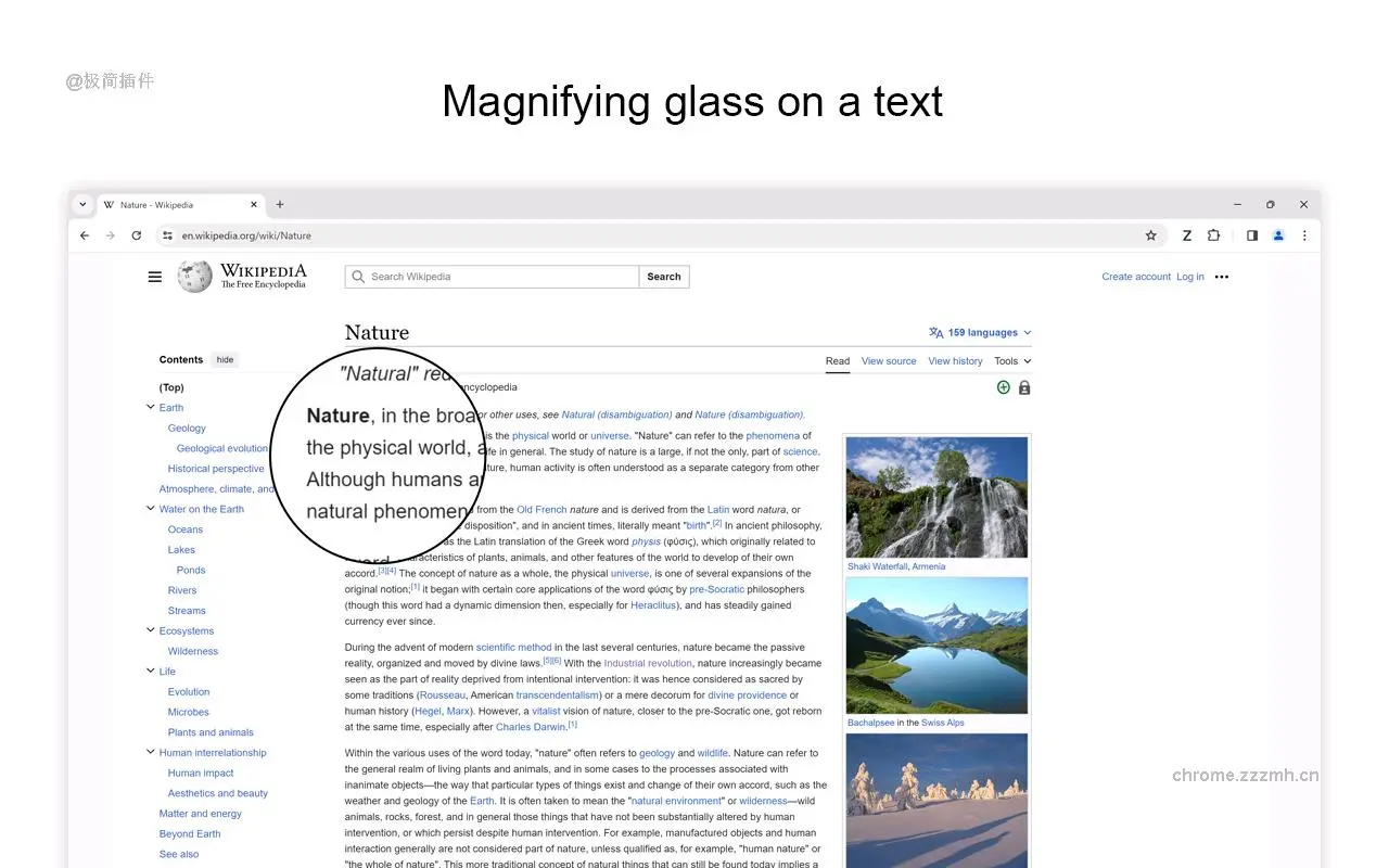 缩放 for Google Chrome_2.8.16.0_image_3