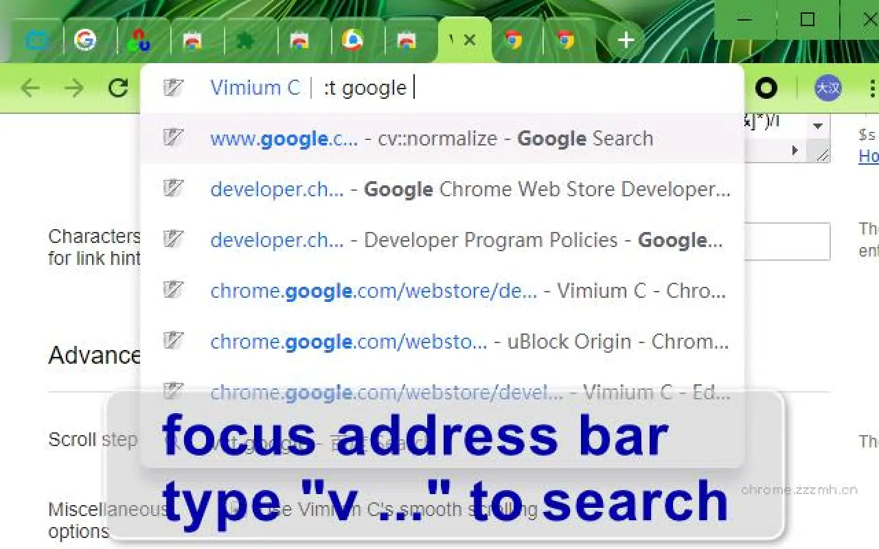 VimiumC 全键盘操作浏览器_2.11.3_image_2