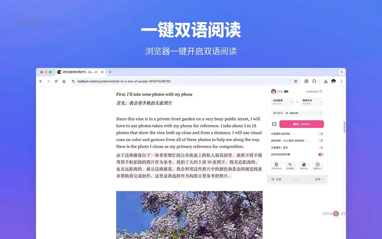 沉浸式翻译:双语对照网页翻译&PDF文档翻译_1.24.6_image_4