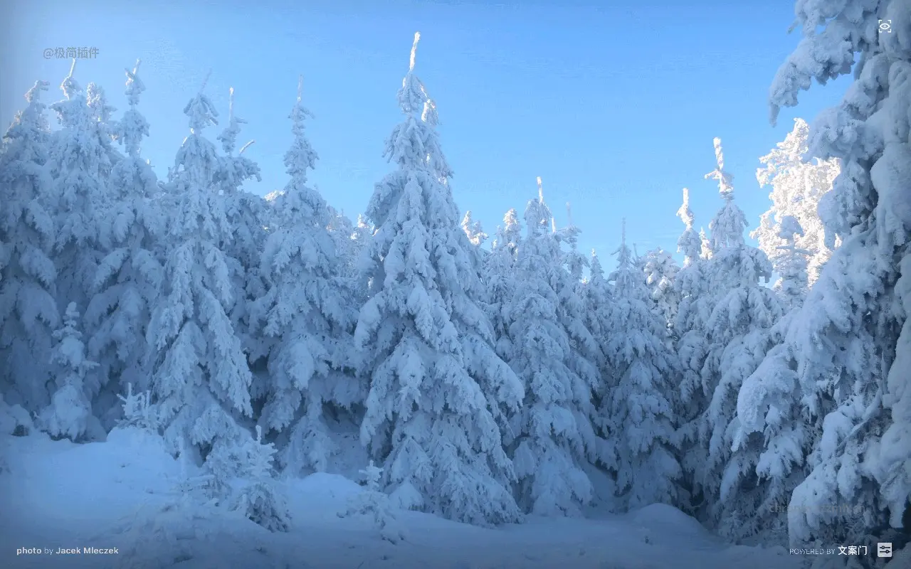 文案门 小插件_4.6.0_image_3