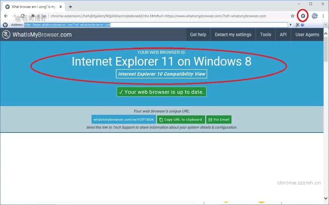 IE Tab_17.10.23.1_image_3