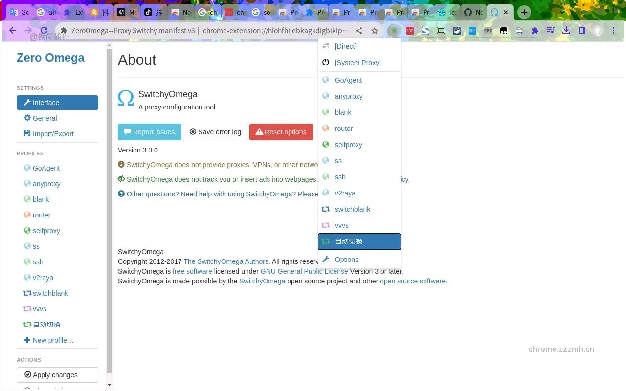 Proxy SwitchyOmega 3 (ZeroOmega)_3.3.23_image_0
