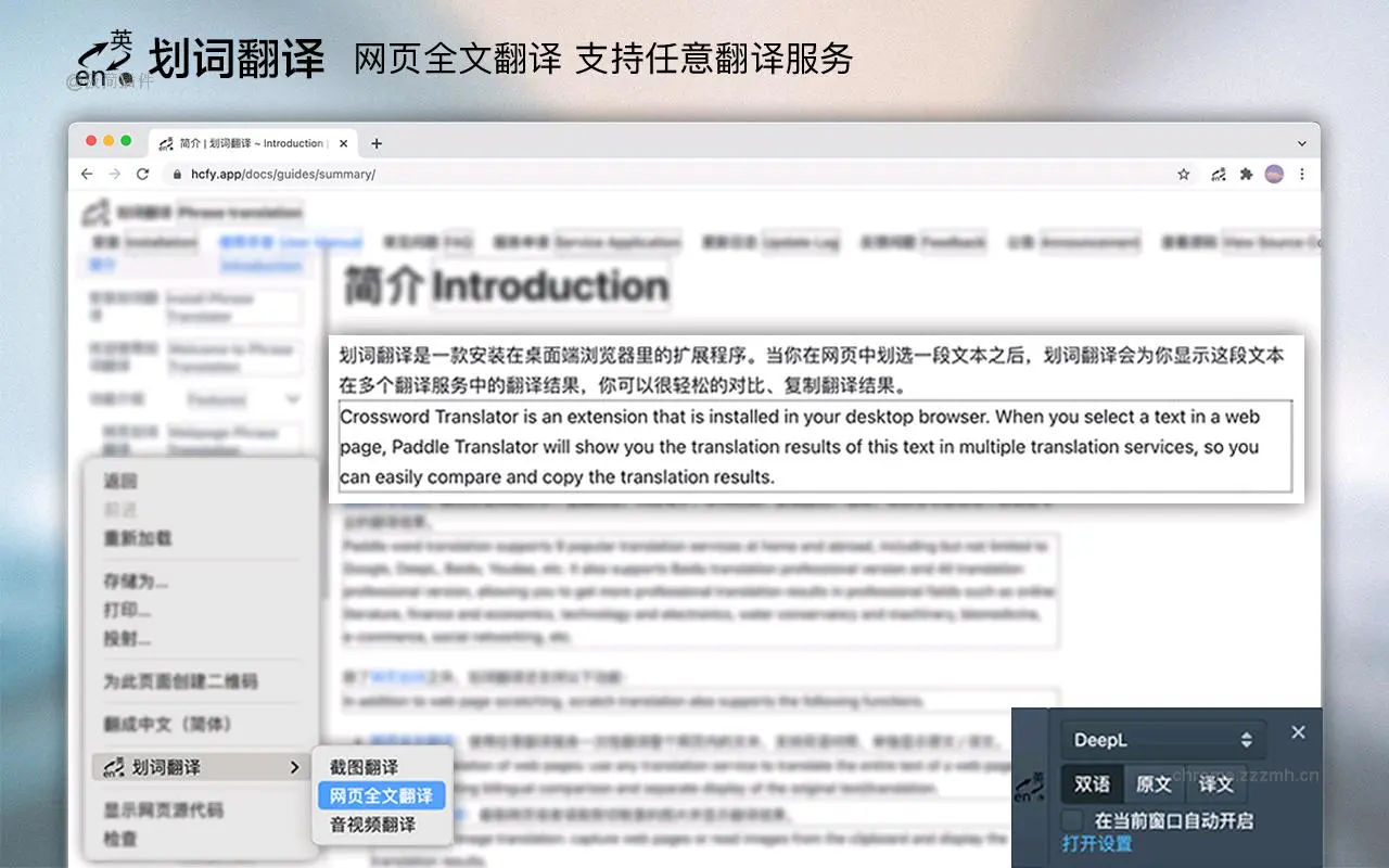 划词翻译_11.6.0_image_1